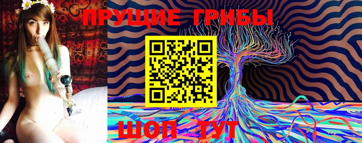 Псилоцибиновые грибы мицелий Новоуральск